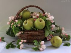 Cesta de Frutas para nacimiento, enviar cestas de frutas para nacimiento, cestas de frutas para el hospital, cestas de frutas online a domicilio